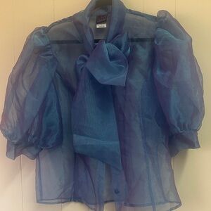 Tawni Haynes Sheer Blue Puff Sleeve Bow Blouse with